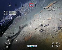 Nordvard_oljedråper.MP4