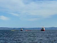 IMG_2037.jpeg