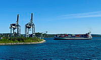 IMG_2332.jpeg