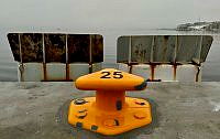 IMG_2253.jpeg