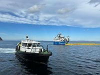 IMG_2045.jpeg