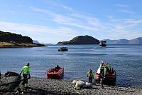 IMG_2513.JPG