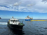 IMG_2045.jpeg