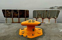 IMG_2253.jpeg